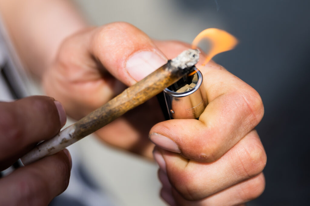 Cannabis (Bild: DPA)